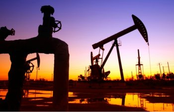 Azərbaycandan İndoneziyaya neft ixracı 111,5 milyon dollar olub