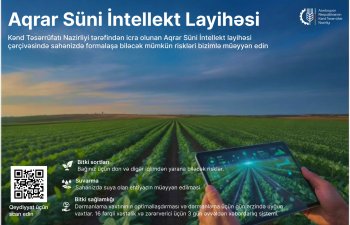 Layihəyə qoşulun &ndash; gələcək əməkdaşlıq imkanlarını dəyərləndirin