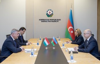 Energetika naziri Macarıstan səfirini qəbul edib