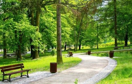 TENDER:Parkının tikintisi üçün 8.75 mln. manatlıq satınalma