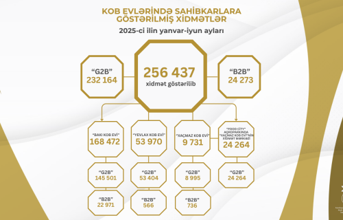 Bu ilin I yarısında KOB evlərində sahibkarlara 260 minə yaxın xidmət göstərilib
