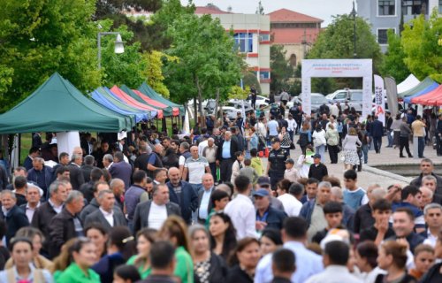 Aqrar Biznes Festivalları çərçivəsində keçirilən kredit yarmarkalarında fermer və sahibkarlıq subyektlərinə 1 milyon manata yaxın kredit ayrılıb