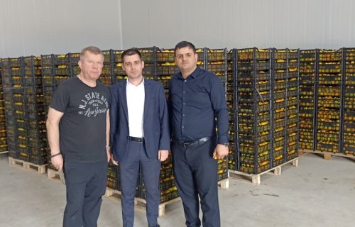 “Azexport” portalı nar, xurma və sitrus məhsulları Belarusa ixrac edib