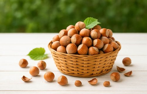 Azərbaycan 149,8 milyon dollar dəyərində meşə fındığı ixrac edib