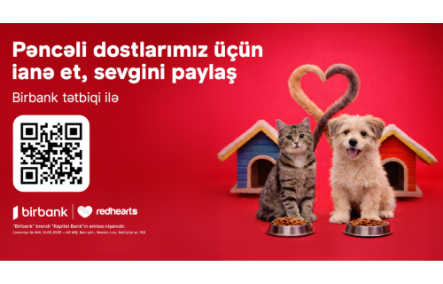 "Pəncəli Ürəklər&rdquo; sahibsiz heyvanlara dəstək aksiyası uğurla davam edir