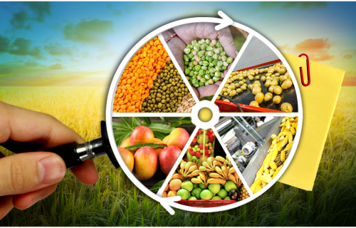 Qeyri-neft sektorunda dinamika: Kənd təsərrüfatı və xidmət sektoru üzrə inkişaf trendləri