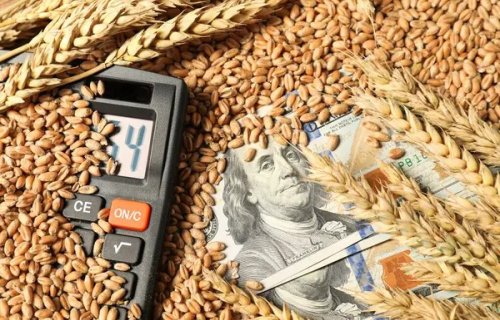 Qazaxıstandan Azərbaycana buğda ixracı 126,9 min ton təşkil edib