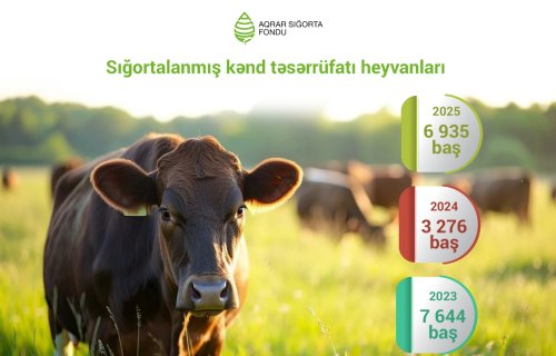 Azərbaycanda sığortalanan kənd təsərrüfatı heyvanlarının sayı 2 dəfə artıb