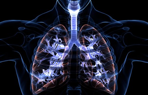 Sionna Therapeutics CF layihələrini davam etdirir və $135 milyon IPO ilə maliyyələşir