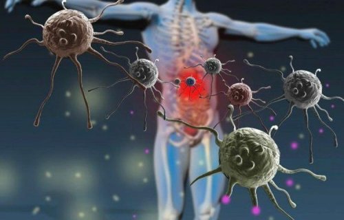 Novartis anti-xərçəng proteininin inkişafını dayandırıb