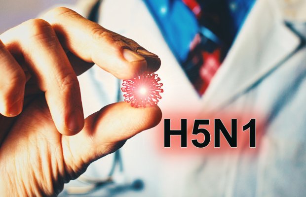 Yeni pandemiya təhlükəsi: Alimlər H5N1 virusunun yayılmasından narahatdır