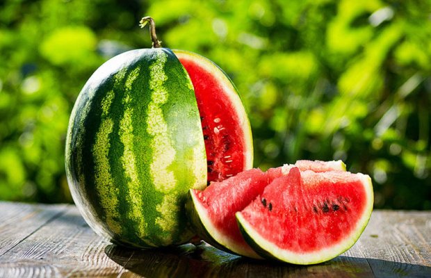 Azərbaycanda qarpız əkinlərinin sığortalanması mövsümü başlayıb