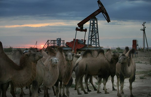 Qazaxıstan OPEC+-ın iyulda neft hasilatını artırmağı planlaşdırdığını təsdiqləyib