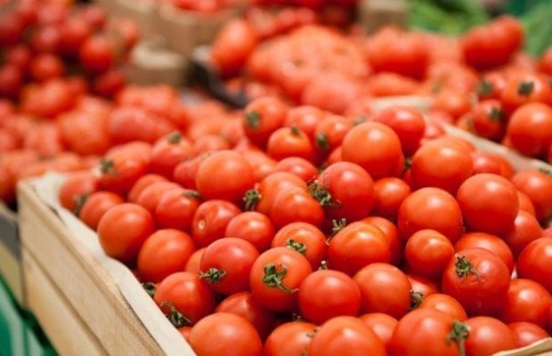 Azərbaycanın pomidor ixracı 74,7 milyon ABŞ dolları olub