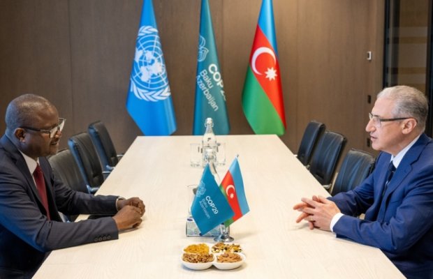COP29 rəhbərliyi Qvineya-Bisaunun ətraf mühit naziri ilə görüşüb