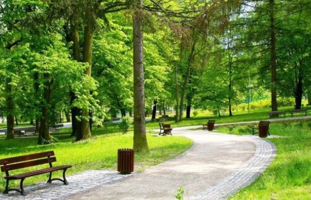 TENDER:Parkının tikintisi üçün 8.75 mln. manatlıq satınalma
