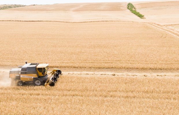 Azərbaycanda payızlıq əkin sahələrinin 35,6%-ində biçin başa çatıb