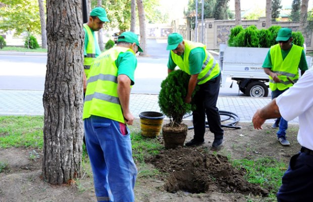 TENDER: Abadlıq işləri