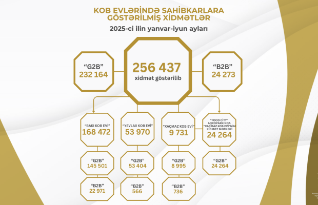 Bu ilin I yarısında KOB evlərində sahibkarlara 260 minə yaxın xidmət göstərilib
