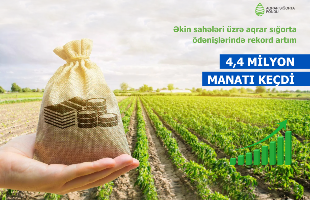 Əkin sahələri üzrə sığorta ödənişlərində rekord artım – 4,4 MİLYON MANATI KEÇDİ