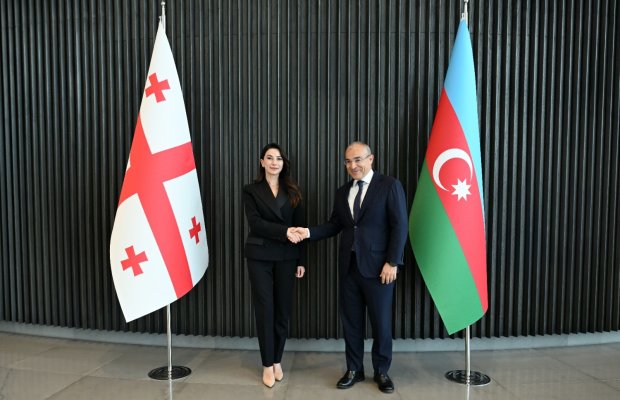 Gürcüstan nümayəndə heyəti ilə görüş keçirilib