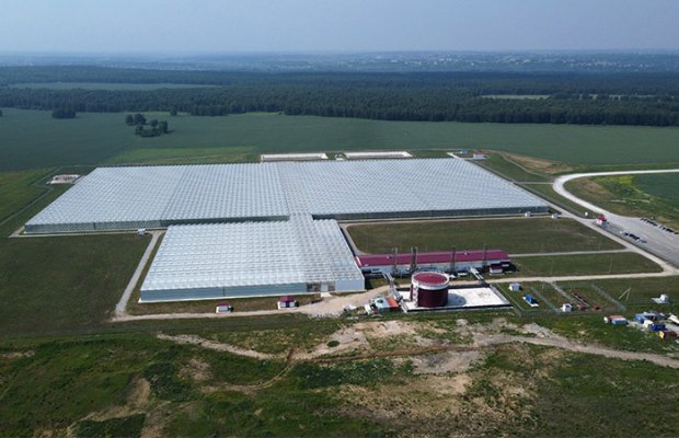 Gömrük Alt Komitəsi yağlı toxumların kətan ixracına 10% rüsumun tətbiqini təsdiqləyib