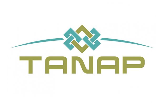 TANAP vasitəsilə Avropaya ötürülən qazın həcmi 50 milyard kubmetrə çatıb