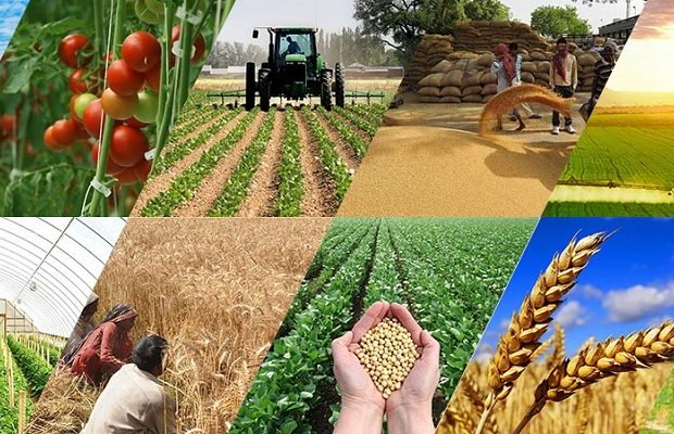 Regionlarda perspektivli biznes ideyaları və ilkin investisiya imkanları - CƏDVƏL