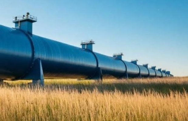 Hökumət Misirdəki Rusiya sənaye zonasının 2030-cu ilə qədər fəaliyyətə başlayacağını gözləyir