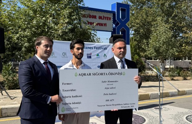 Naxçıvanda əkin sahələri üzrə aqrar sığorta ödənişləri başland