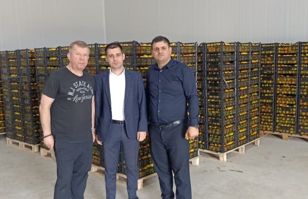 “Azexport” portalı nar, xurma və sitrus məhsulları Belarusa ixrac edib