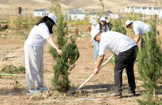 “AzInTelecom” Ağdamda ağacəkmə aksiyası keçirib