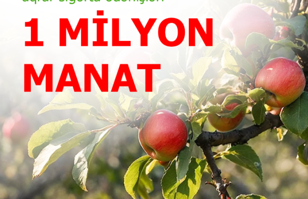 Meyvə bağları üzrə aqrar sığorta ödənişləri 1 milyon manata çatıb