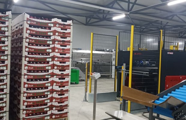 “Azexport” portalı yerli məhsulların Oman və Qətərə ixracını həyata keçirəcək